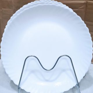 white dinner plate