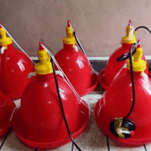 Automatic bell drinkers